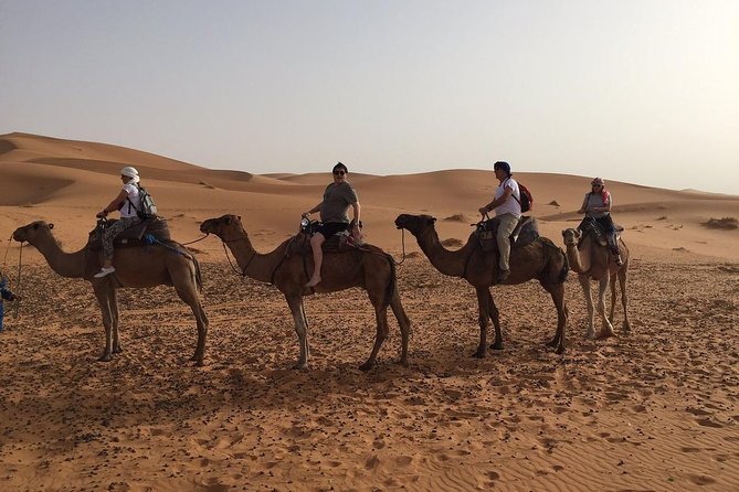 4 Days From Errachidia To Merzouga Desert - Day 4: Return Journey
