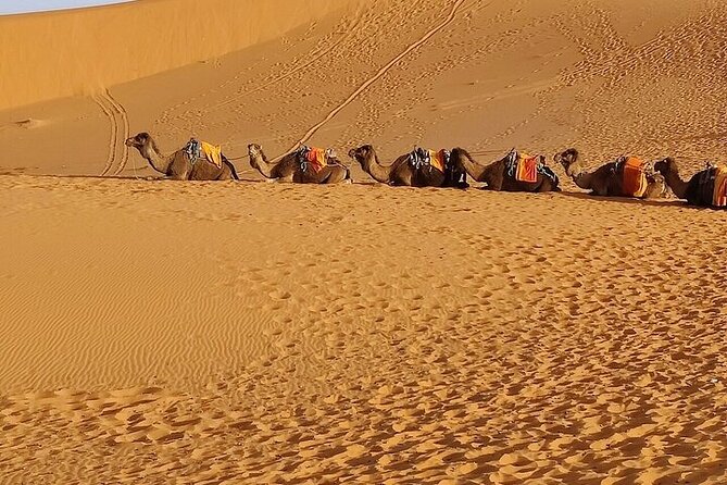4 Days Group Tours From Fes to Marrakech via Merzouga - Booking and Cancellation Policy