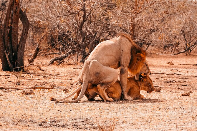 4 Days Selous Game Reserve Wildlife Encounter Safari - Frequently Asked Questions