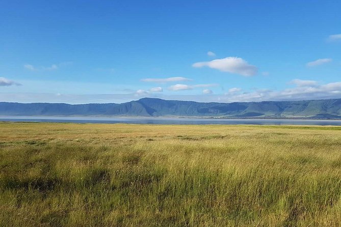 4 Days Tanzania Luxury Safari - Game Drives and Activities Schedule