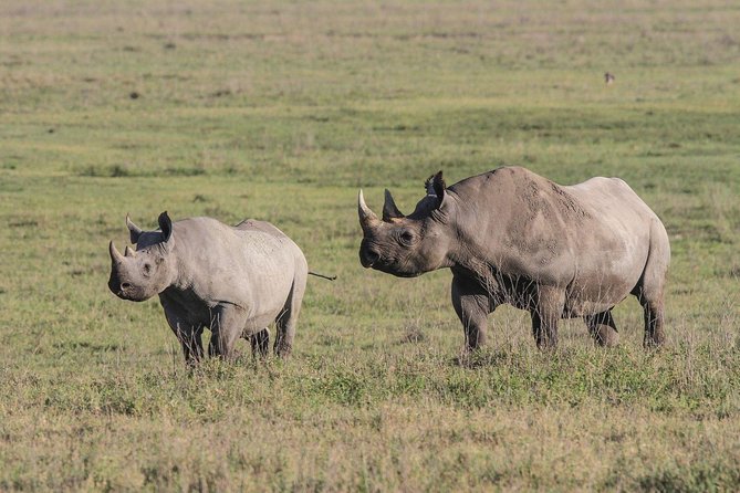 4 Days Tanzania Safari- Lake Manyara NP, Serengeti Np and Ngorongoro Crater - Tour Inclusions