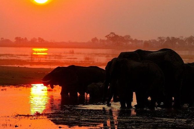 4 Days Victoria Falls Zimbabwe With Chobe National Park Safari Botswana