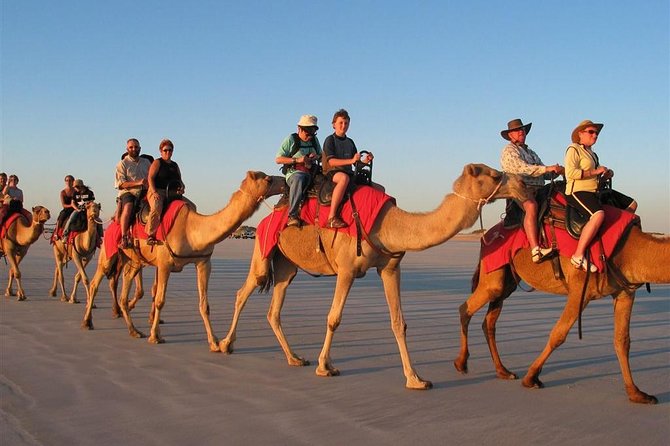4 Hours Private Safari by Camel, Aswan - Inclusions