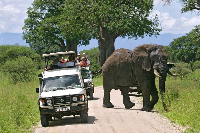5-Day Mikumi & Ruaha Tanzania Wildlife Lodge Safari - Dining Experience