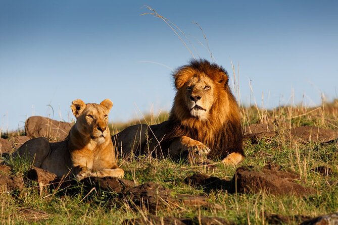 5 Day Private Guided Wildebeest Migration Tour - Customer Reviews