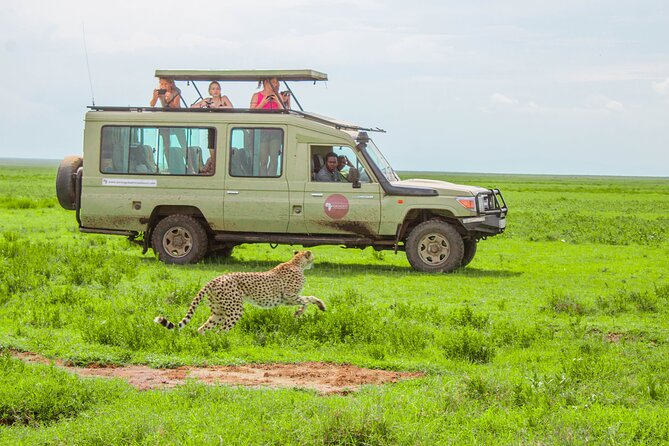 5 Day Serengeti Luxury Safari