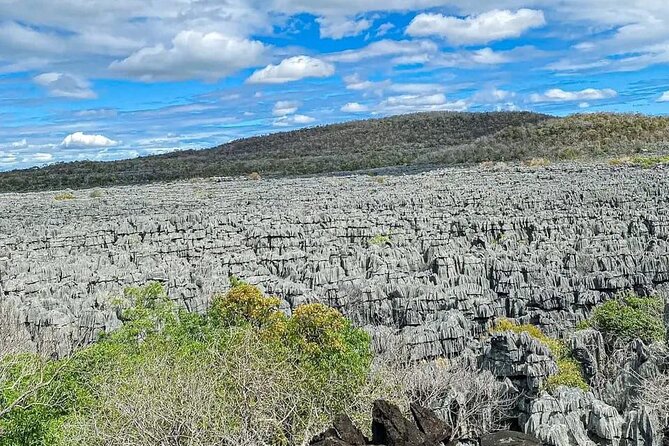 5-Day Tour to Discover the North of Madagascar - Transportation and Logistics