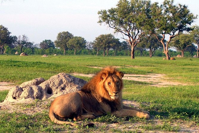 5 Day Victoria Falls and Hwange National Park Accommodated Safari Tour - Dining Options
