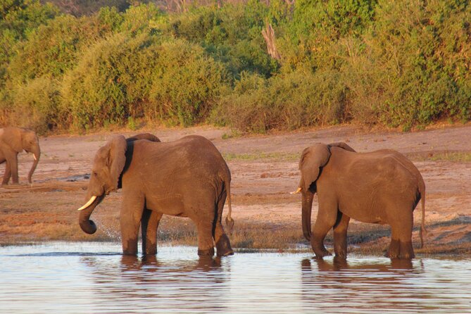5-Day Victoria Falls and Hwange National Park Tour From Victoria Falls - Important Logistics