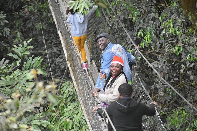 5 Days Adventure Into the Clouds of Obudu Mountain Resort - Reviews Breakdown