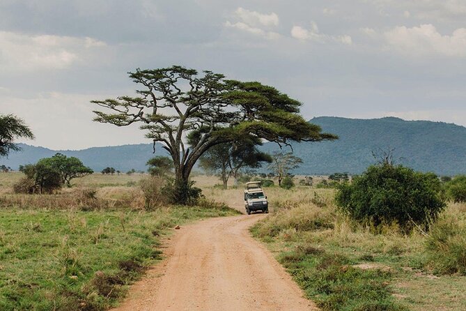 5 Days Fantastic Tanzania Lodge Safaris - Park Visits and Activities