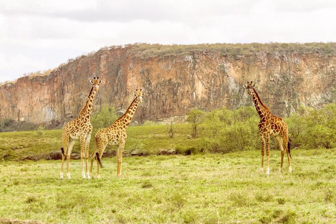 5 Days Masai Mara, Lake Nakuru & Naivasha Budget Joining Safari - Logistics and Meeting Point Details