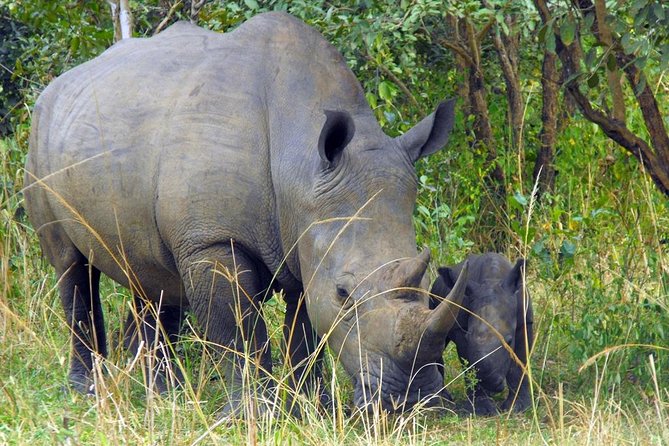5 Days Murchison Falls and Kibale National Park - Destinations Included