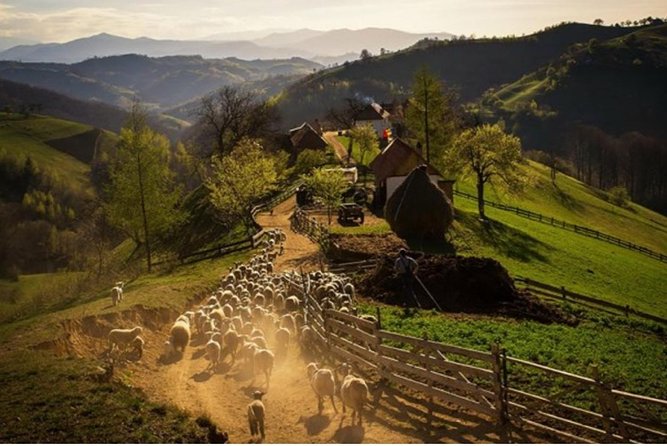 5 Days Private Tour in Transylvania and Dracula Castle - Booking and Pricing Information