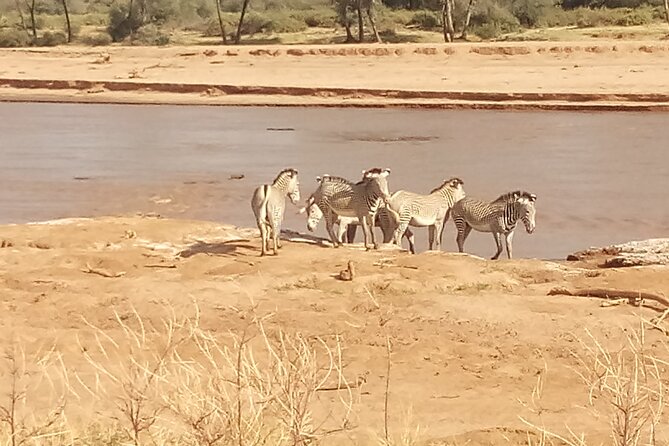5 Days Safari to Samburu N/R Ol Pejeta Conservancy Hells Gate N/P, Lake Naivasha - Meeting and Pickup