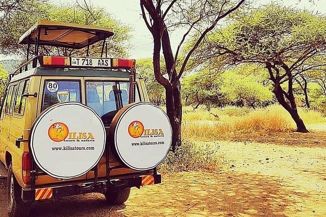 5 Days Safari to Tarangire, Ngorongoro, Serengeti and Lake Manyara - Ngorongoro Crater