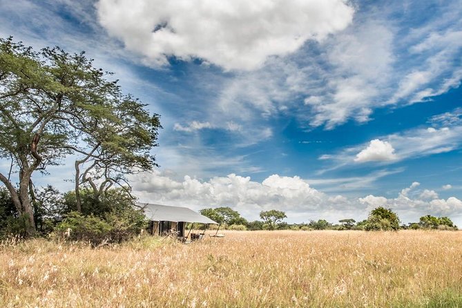 5 Days Serengeti Migration Safari - Safari Activities