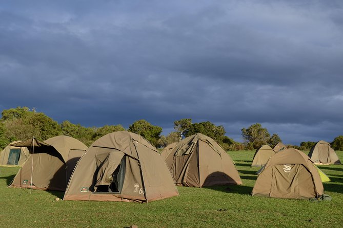 5 Days Tarangire ,Serengeti.Ngorongoro and Lake Manyara - Tour Details