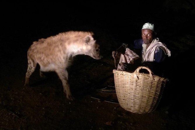 5 Days Tour to World Heritage–listed Harrar, Dire Dawa and Awash NATIONAL PARK - Inclusions and Exclusions