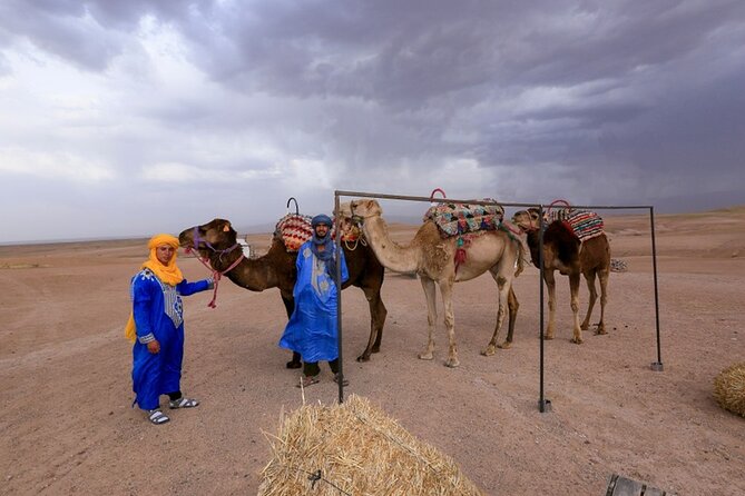 5 Hour Agafay Desert Sunset Quad and Camel Tour With Dinner Show - Tour Highlights