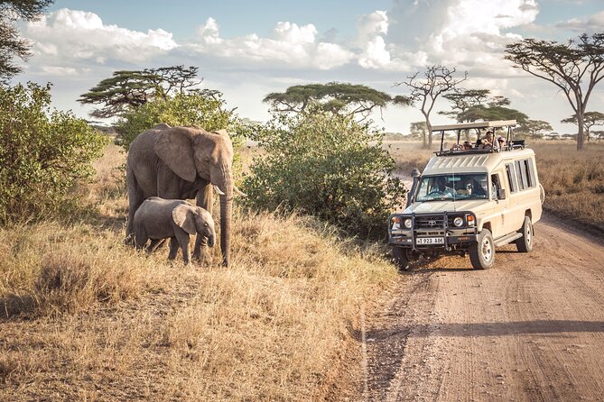 6- Day Adventure Lodge Safari to See Migration - Itinerary Highlights