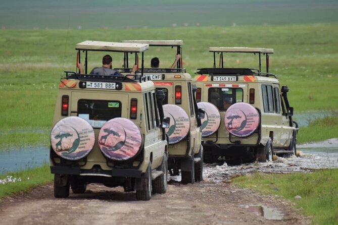 6-Day Big Five Magic Safari Tour - Inclusions and Exclusions