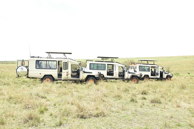 6-Day Experience the Wild Masai Mara Reserve - The Sum Up