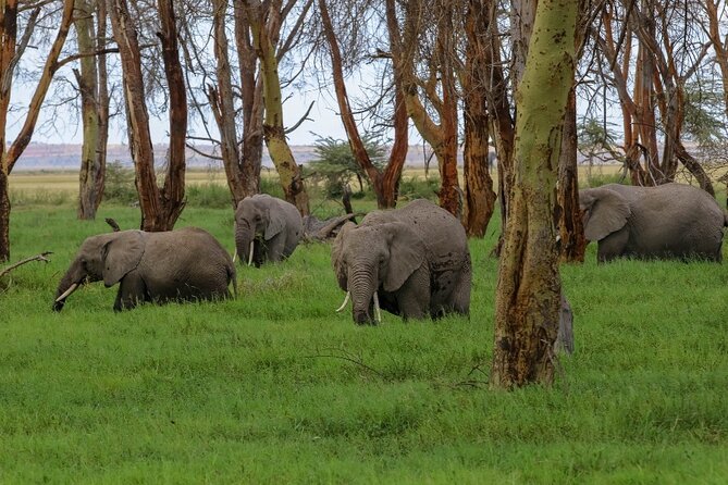 6-Day Kenya Safari to Masai Mara, Lake Nakuru and Amboseli - Dining Experience