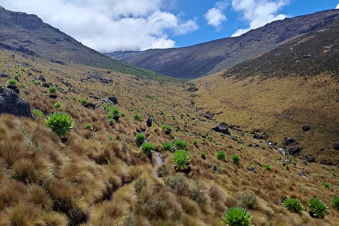 6 Day Marangu Tour - Meeting and Pickup Details
