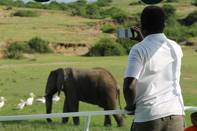 6-Day Queen Elizabeth and Mburo Luxury Safari - Accommodation and Dining