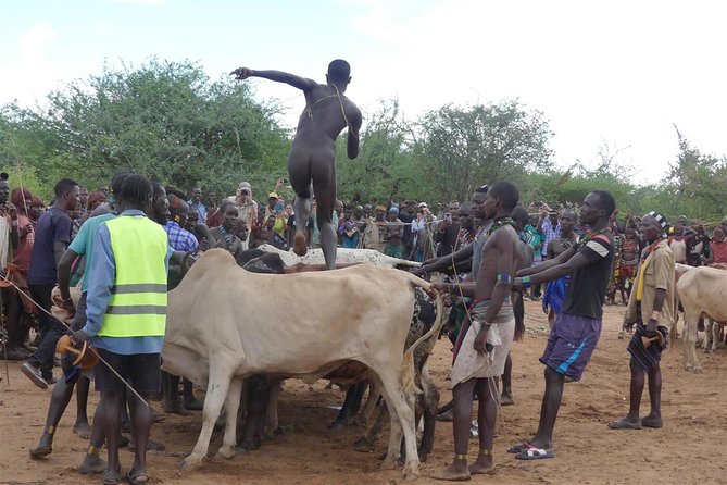 6 Days 5 Nights OMO Valley Tribal Tour - Customer Review