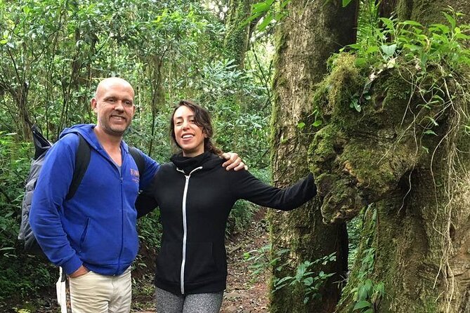 6 Days Climb Kilimanjaro via Marangu Route Private Guided Tour - Pickup and Drop-off Information