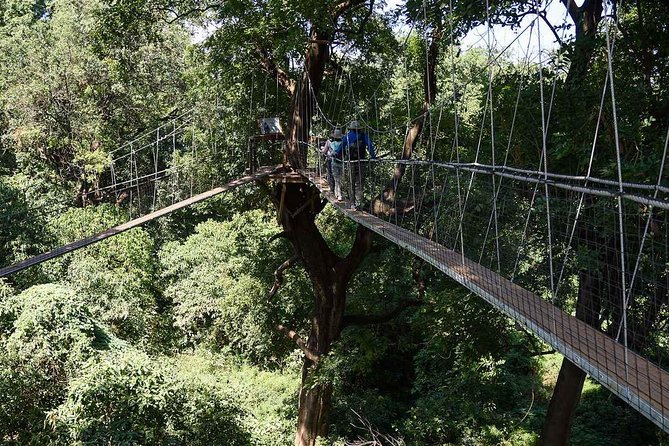 6 Days Join Group Safari Serengeti,Ngorongoro, Lake Manyara, Tarangire, Arusha - Additional Information