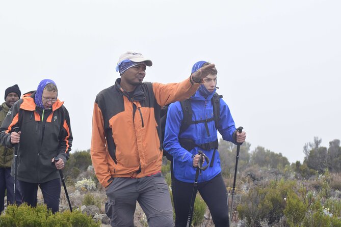 6 Days Kilimanjaro [ Climbing ] Hiking Tour via Marangu Route - Price and Inclusions