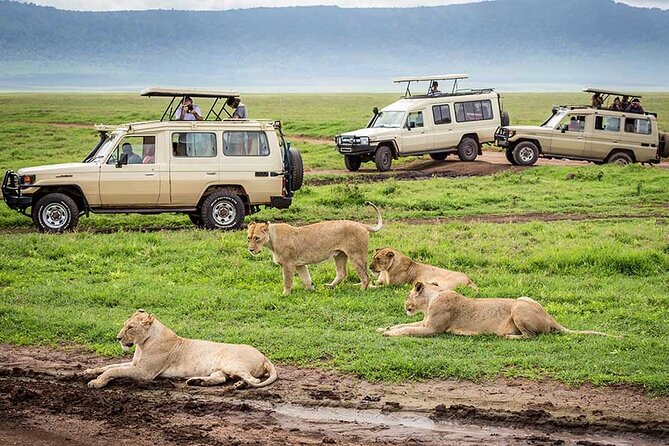 6 Days Luxury Wildlife Tanzania Safari - Exclusions and Additional Costs