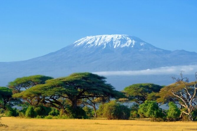 6 Days Machame Route Mount Kilimanjaro Climb - Tour Overview