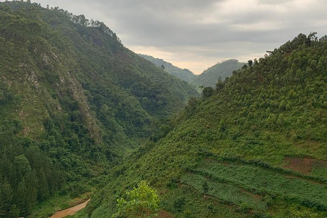 6 Days Rwanda Uganda Budget Wildlife Safari - Pricing and Booking Details