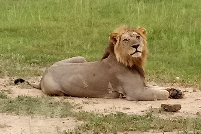 6 Days Safari to Mikumi Np, Udzungwa Mountain NP and Nyerere NP (Selous GR) - Customer Reviews and Ratings