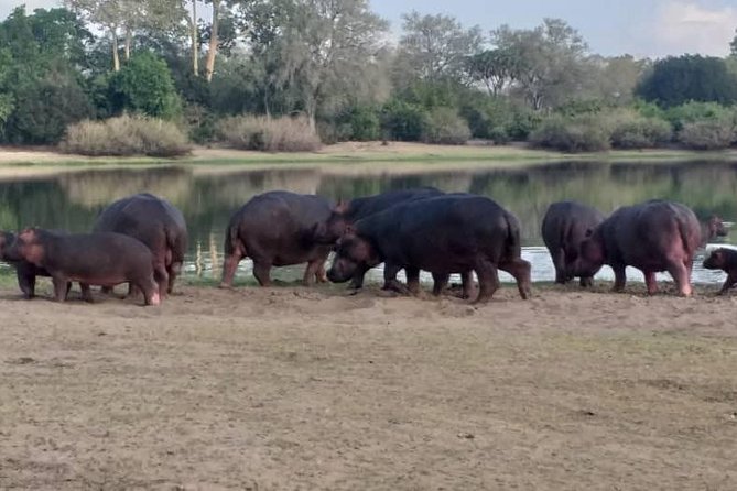 6 Days Selous ,Mikumi Udzungwa National + Boat Safari +Masai Culture - Booking and Pricing Information