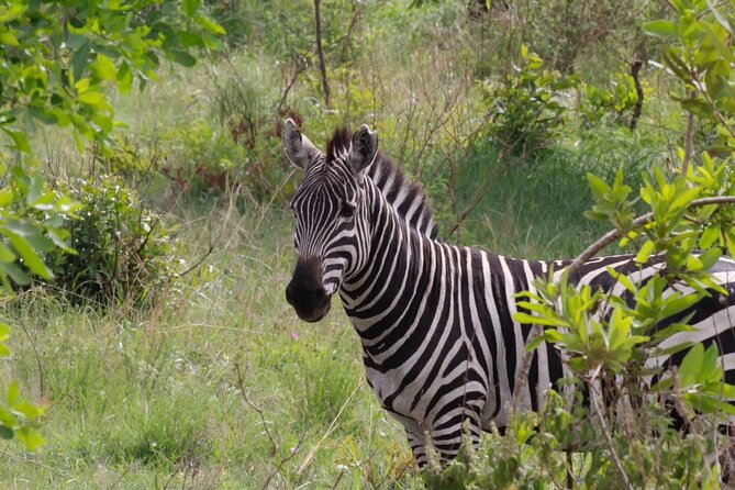 6 Days Serengeti Classic Safaris Odyssey in Tanzania - Packing Essentials