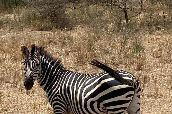 6 Days Tanzania National Parks Tour - Additional Information