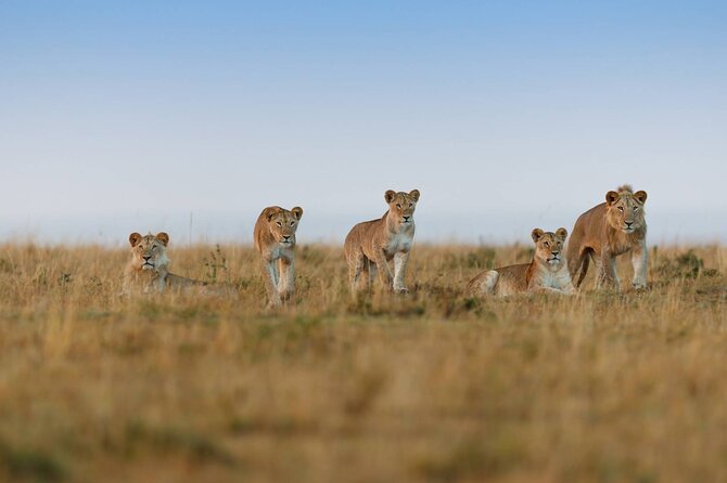 6 Days Tanzania Northern Circuit Safari - Booking Information
