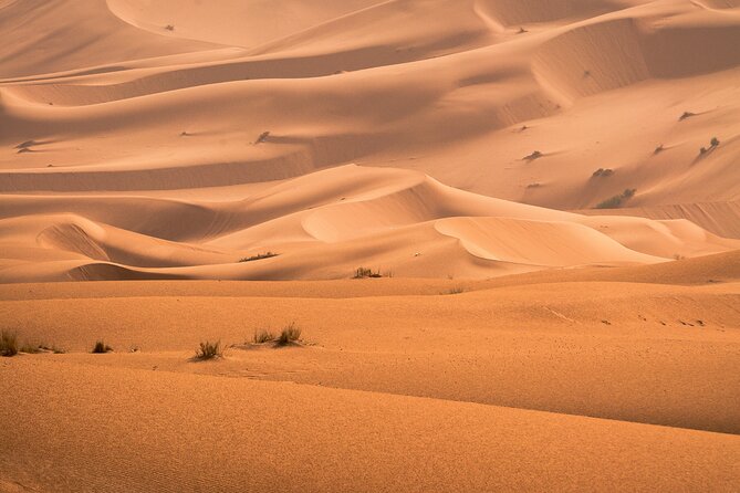 6 Days Trip in Morocco From Casablanca - Tour Guide Information