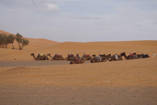 6 Daystour Fes Desert Ait Benhaddou Marrakech Private Van 7 Seats - The Sum Up and Next Steps