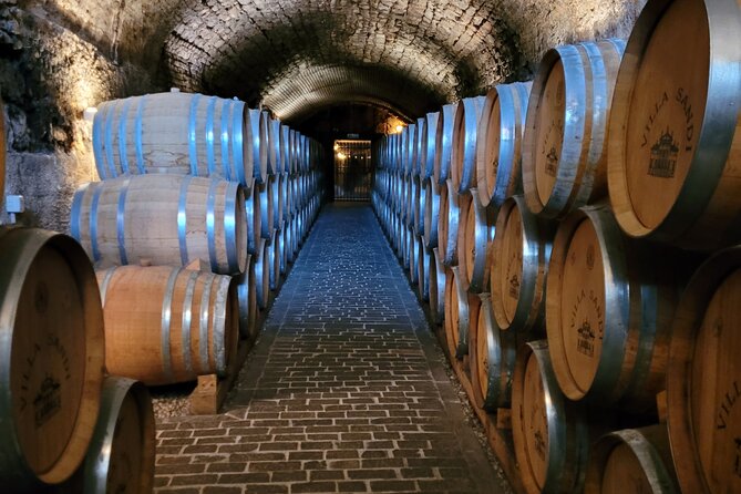 6-Hours Private Guided Tour of Prosecco by Bike - Booking Information