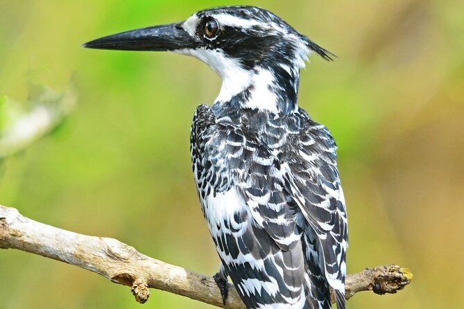 7-Day Birding, Murchison Fall Royal Mile and Big Five - Accommodation Details