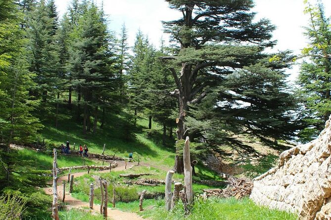 7-Day Highlights of Lebanon Tour From Beirut With Pickup - Booking and Cancellation Policy