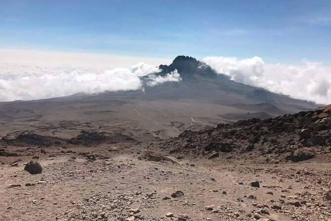 7 Day Kilimanjaro Rongai Climb - Pricing and Location Details