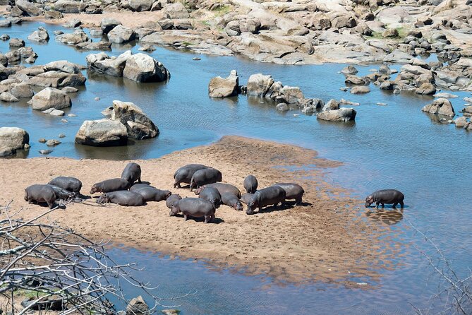7-Day Lake Manyara, Ngorongoro Crater and Serengeti Private Tour - Meeting and Pickup Details