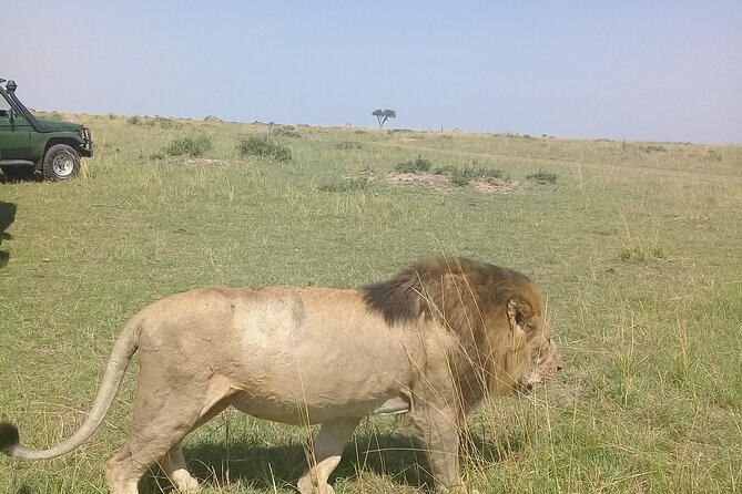 7-Day Private Jeep Safari to 5 Star Lodges With Balloon Ride in Kenya - Lodging and Accommodation